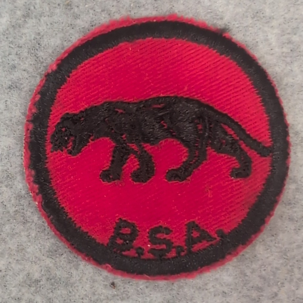 Vintage BSA Panther Patrol Boy Scout Patch Badge Red Black Embroidered 2" - Picture 1 of 2